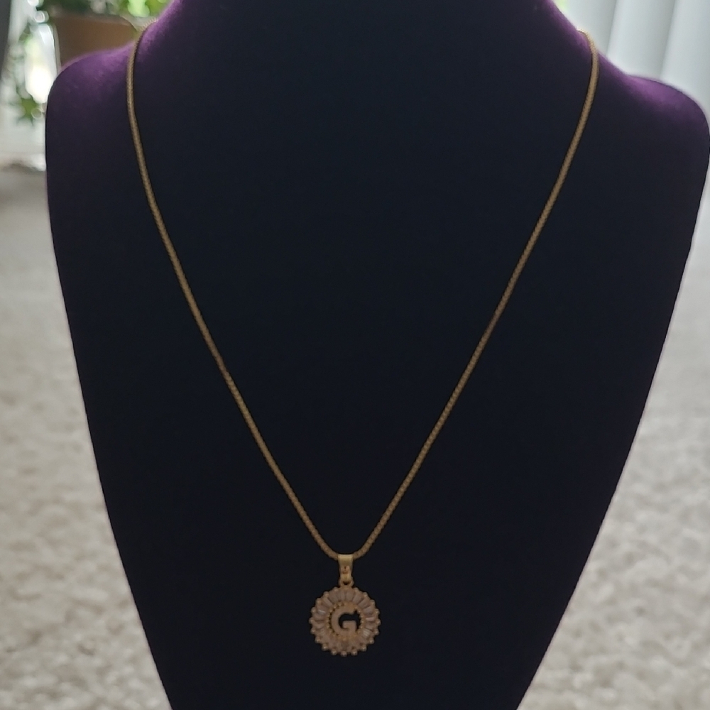 Gold Initial "G" Pendant Necklace *NWOT*